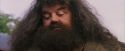 PF-Potterish_12190.jpg
