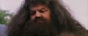 PF-Potterish_12192.jpg