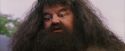 PF-Potterish_12193.jpg