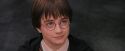 PF-Potterish_12194.jpg