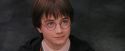 PF-Potterish_12195.jpg