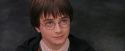PF-Potterish_12197.jpg