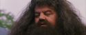 PF-Potterish_12200.jpg