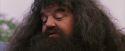 PF-Potterish_12202.jpg