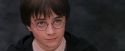 PF-Potterish_12203.jpg