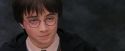 PF-Potterish_12205.jpg