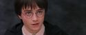 PF-Potterish_12207.jpg