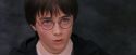 PF-Potterish_12210.jpg