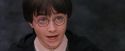 PF-Potterish_12212.jpg