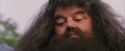 PF-Potterish_12213.jpg
