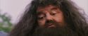 PF-Potterish_12214.jpg