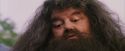 PF-Potterish_12215.jpg