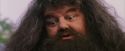 PF-Potterish_12216.jpg