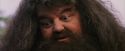 PF-Potterish_12217.jpg
