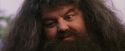 PF-Potterish_12218.jpg