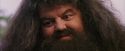 PF-Potterish_12219.jpg