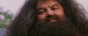 PF-Potterish_12220.jpg