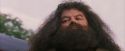 PF-Potterish_12227.jpg