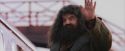 PF-Potterish_12243.jpg