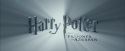 PdA-Potterish_0084.jpg
