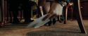 PdA-Potterish_0165.jpg