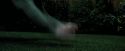 PdA-Potterish_0373.jpg