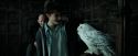 PdA-Potterish_0833.jpg
