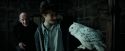 PdA-Potterish_0834.jpg
