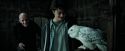 PdA-Potterish_0835.jpg