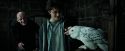 PdA-Potterish_0836.jpg