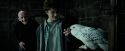 PdA-Potterish_0837.jpg