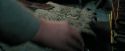 PdA-Potterish_0968.jpg