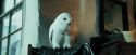 PdA-Potterish_1021.jpg