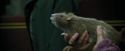 PdA-Potterish_1204.jpg