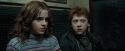 PdA-Potterish_1512.jpg