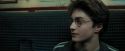 PdA-Potterish_1517.jpg