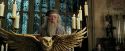 PdA-Potterish_1594.jpg