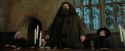 PdA-Potterish_1651.jpg