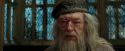 PdA-Potterish_1693.jpg