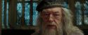 PdA-Potterish_1694.jpg