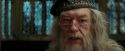 PdA-Potterish_1695.jpg