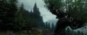 PdA-Potterish_1855.jpg