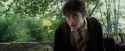 PdA-Potterish_2203.jpg