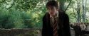 PdA-Potterish_2209.jpg