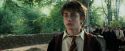 PdA-Potterish_2234.jpg