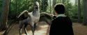 PdA-Potterish_2247.jpg