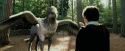 PdA-Potterish_2248.jpg
