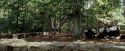 PdA-Potterish_2295.jpg