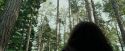 PdA-Potterish_2380.jpg