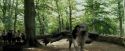 PdA-Potterish_2394.jpg